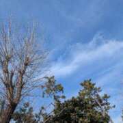 ヒメ日記 2026/02/10 10:30 投稿 おとは スッキリ！！日本橋店