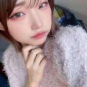 ヒメ日記 2025/11/20 14:33 投稿 りつ ルーフ福井