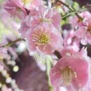 深津 絵里 ４月の予定 熟女・人妻マダム宮殿