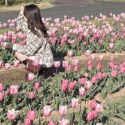 ヒメ日記 2026/04/12 13:56 投稿 ひめ 静岡♂風俗の神様 静岡店