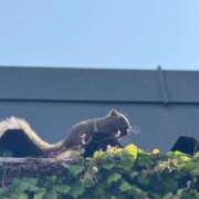 おと オススメ♡ ぐっすり山田 横浜店