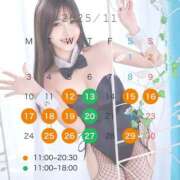 ヒメ日記 2025/11/12 11:13 投稿 ゆな TOKYO BUNNYS CLUB