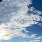 ヒメ日記 2025/11/16 11:41 投稿 東雲みい エステdeシンデレラ横浜（シンデレラグループ）