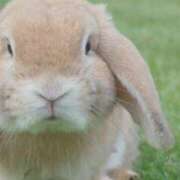 ヒメ日記 2025/11/27 13:44 投稿 こよみ もしも清楚な20、30代の妻とキスイキできたら横浜店