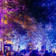 ヒメ日記 2025/12/07 19:54 投稿 こよみ もしも清楚な20、30代の妻とキスイキできたら横浜店