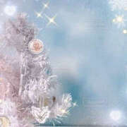 ヒメ日記 2025/12/16 12:14 投稿 こよみ もしも清楚な20、30代の妻とキスイキできたら横浜店