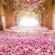 ヒメ日記 2025/12/28 09:34 投稿 こよみ もしも清楚な20、30代の妻とキスイキできたら横浜店