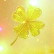 ヒメ日記 2026/01/24 20:04 投稿 こよみ もしも清楚な20、30代の妻とキスイキできたら横浜店