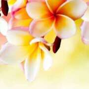 ヒメ日記 2026/01/28 09:34 投稿 こよみ もしも清楚な20、30代の妻とキスイキできたら横浜店