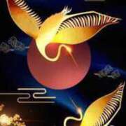 ヒメ日記 2026/01/29 10:44 投稿 こよみ もしも清楚な20、30代の妻とキスイキできたら横浜店