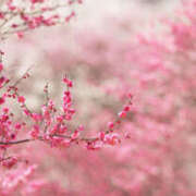 ヒメ日記 2026/02/01 10:04 投稿 こよみ もしも清楚な20、30代の妻とキスイキできたら横浜店