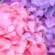 ヒメ日記 2026/02/27 09:33 投稿 こよみ もしも清楚な20、30代の妻とキスイキできたら横浜店