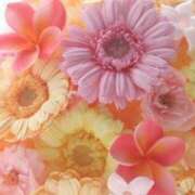 ヒメ日記 2026/02/28 20:13 投稿 こよみ もしも清楚な20、30代の妻とキスイキできたら横浜店