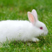 ヒメ日記 2026/03/04 20:23 投稿 こよみ もしも清楚な20、30代の妻とキスイキできたら横浜店