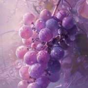 ヒメ日記 2026/03/15 20:23 投稿 こよみ もしも清楚な20、30代の妻とキスイキできたら横浜店