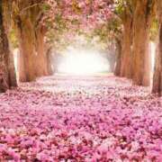 ヒメ日記 2026/03/24 20:43 投稿 こよみ もしも清楚な20、30代の妻とキスイキできたら横浜店