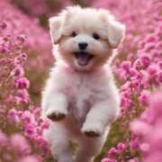 ヒメ日記 2026/04/02 12:13 投稿 こよみ もしも清楚な20、30代の妻とキスイキできたら横浜店