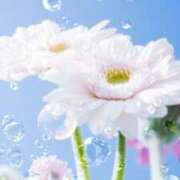 ヒメ日記 2026/04/27 20:13 投稿 こよみ もしも清楚な20、30代の妻とキスイキできたら横浜店