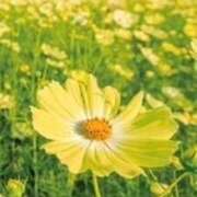 ヒメ日記 2026/06/15 13:23 投稿 こよみ もしも清楚な20、30代の妻とキスイキできたら横浜店