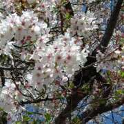 ヒメ日記 2026/02/25 21:01 投稿 はのん プレミアム(福原)