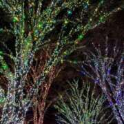 ヒメ日記 2025/12/25 19:23 投稿 凛 出会い系人妻ネットワーク 新宿〜池袋編