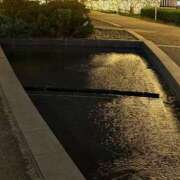 ヒメ日記 2026/01/20 20:12 投稿 凛 出会い系人妻ネットワーク 新宿〜池袋編