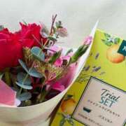 ヒメ日記 2026/02/01 16:46 投稿 凛 出会い系人妻ネットワーク 新宿〜池袋編