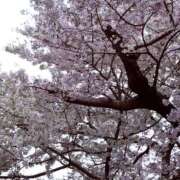 ヒメ日記 2026/03/28 18:40 投稿 凛 出会い系人妻ネットワーク 新宿〜池袋編