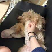 ヒメ日記 2025/11/26 18:01 投稿 いの mu-mii神田店（ムーミー神田店）