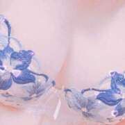 ヒメ日記 2025/11/09 15:55 投稿 ひかり 新大阪秘密倶楽部