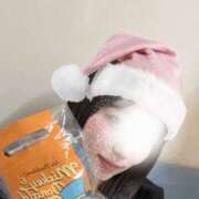 ヒメ日記 2025/12/23 20:15 投稿 みなみ 新大阪秘密倶楽部