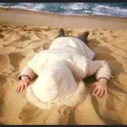 ヒメ日記 2025/11/28 23:05 投稿 みのり 妻の友人