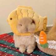 ヒメ日記 2025/11/23 12:07 投稿 シオン【惑わせ小悪魔の誘惑】 秘書コレクション 高松店