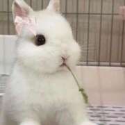 ヒメ日記 2025/12/01 10:15 投稿 シオン【惑わせ小悪魔の誘惑】 秘書コレクション 高松店