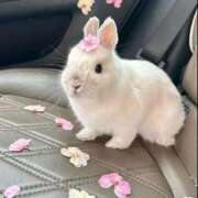 ヒメ日記 2025/12/03 12:08 投稿 シオン【惑わせ小悪魔の誘惑】 秘書コレクション 高松店