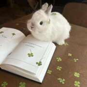 ヒメ日記 2025/12/04 18:14 投稿 シオン【惑わせ小悪魔の誘惑】 秘書コレクション 高松店