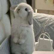 ヒメ日記 2025/12/05 15:16 投稿 シオン【惑わせ小悪魔の誘惑】 秘書コレクション 高松店