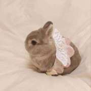 ヒメ日記 2025/12/06 02:14 投稿 シオン【惑わせ小悪魔の誘惑】 秘書コレクション 高松店