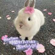 ヒメ日記 2025/12/07 13:44 投稿 シオン【惑わせ小悪魔の誘惑】 秘書コレクション 高松店