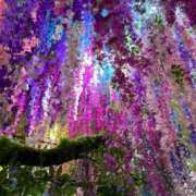 ヒメ日記 2025/11/11 13:05 投稿 藍音(あいね) グランドオペラ横浜