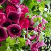 白谷 久実 お礼日記💌 人妻セレブ宮殿