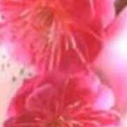 ヒメ日記 2026/03/04 02:30 投稿 白谷 久実 人妻セレブ宮殿