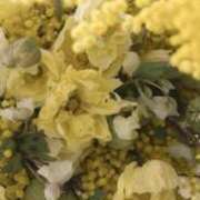 ヒメ日記 2026/03/13 23:07 投稿 白谷 久実 人妻セレブ宮殿