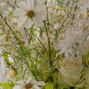 白谷 久実 4/24吉日 人妻セレブ宮殿