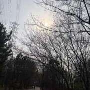 白谷 久実 一期一会 人妻セレブ宮殿