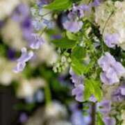 白谷 久実 お礼日記💌 人妻セレブ宮殿