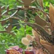 白谷 久実 こんばんは(*´˘`*)♡ 人妻セレブ宮殿