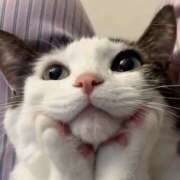 ヒメ日記 2025/11/09 18:02 投稿 のり 熟女の風俗最終章 宇都宮店