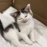 ヒメ日記 2025/11/11 15:11 投稿 のり 熟女の風俗最終章 宇都宮店