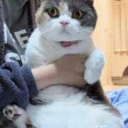 のり 空腹 熟女の風俗最終章 宇都宮店